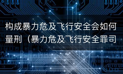 构成暴力危及飞行安全会如何量刑（暴力危及飞行安全罪司法解释）