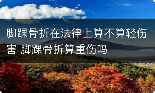 脚踝骨折在法律上算不算轻伤害 脚踝骨折算重伤吗