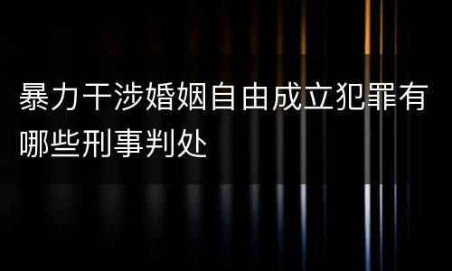 暴力干涉婚姻自由成立犯罪有哪些刑事判处