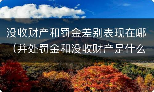 没收财产和罚金差别表现在哪（并处罚金和没收财产是什么意思）