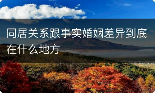 同居关系跟事实婚姻差异到底在什么地方