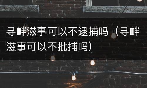 寻衅滋事可以不逮捕吗（寻衅滋事可以不批捕吗）