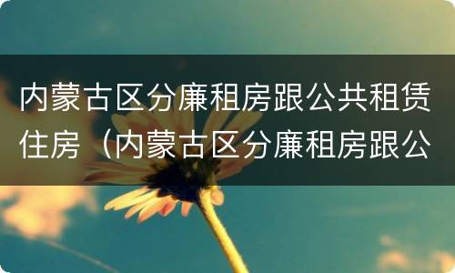 内蒙古区分廉租房跟公共租赁住房（内蒙古区分廉租房跟公共租赁住房的区别）