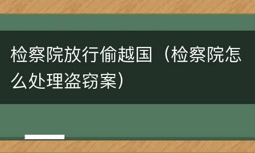 检察院放行偷越国（检察院怎么处理盗窃案）