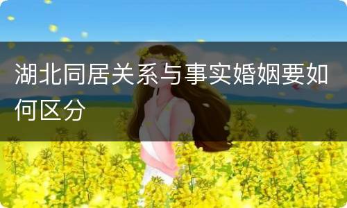 湖北同居关系与事实婚姻要如何区分