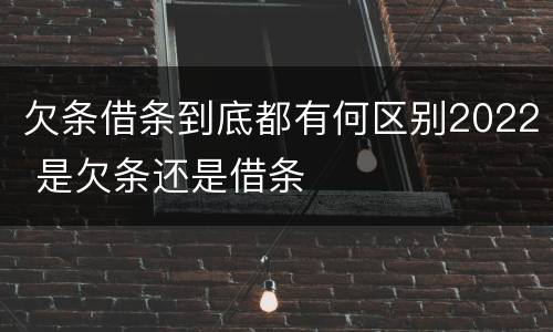 欠条借条到底都有何区别2022 是欠条还是借条