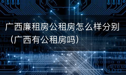 广西廉租房公租房怎么样分别（广西有公租房吗）