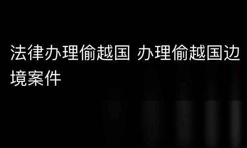 法律办理偷越国 办理偷越国边境案件