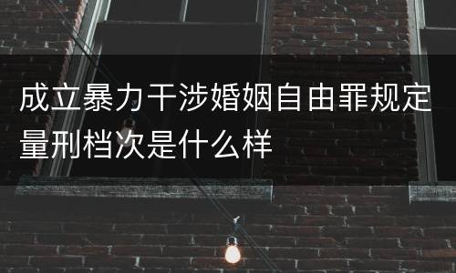 成立暴力干涉婚姻自由罪规定量刑档次是什么样
