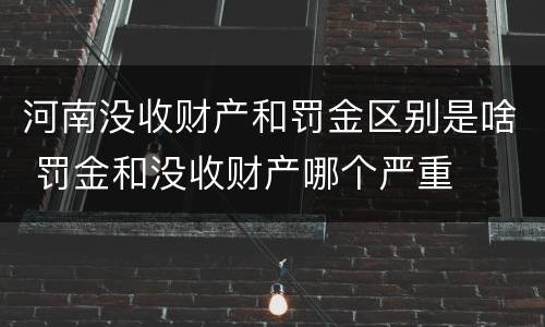 河南没收财产和罚金区别是啥 罚金和没收财产哪个严重