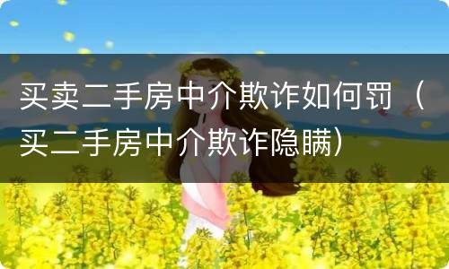 买卖二手房中介欺诈如何罚（买二手房中介欺诈隐瞒）