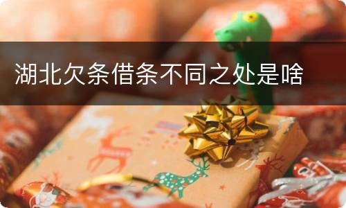 湖北欠条借条不同之处是啥