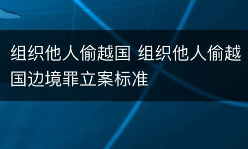组织他人偷越国 组织他人偷越国边境罪立案标准