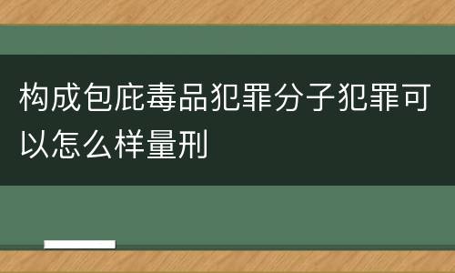 构成包庇毒品犯罪分子犯罪可以怎么样量刑