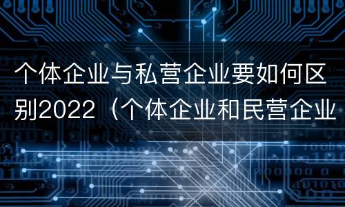 个体企业与私营企业要如何区别2022（个体企业和民营企业的区别）