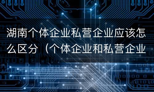 湖南个体企业私营企业应该怎么区分（个体企业和私营企业）