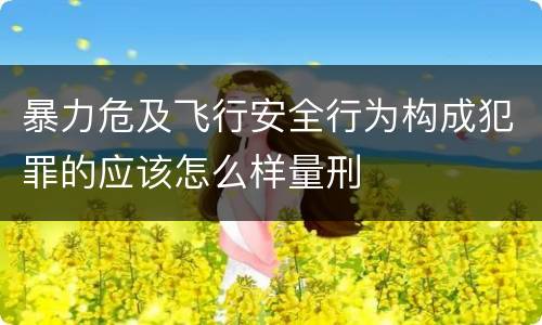 暴力危及飞行安全行为构成犯罪的应该怎么样量刑