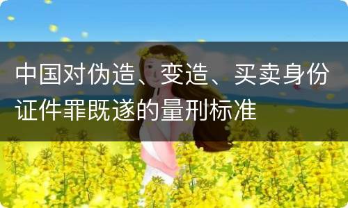 中国对伪造、变造、买卖身份证件罪既遂的量刑标准