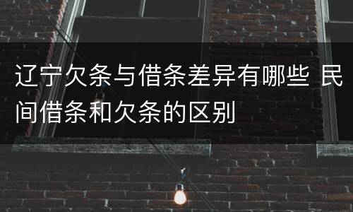 辽宁欠条与借条差异有哪些 民间借条和欠条的区别