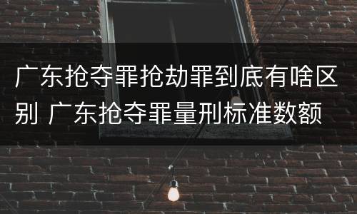 广东抢夺罪抢劫罪到底有啥区别 广东抢夺罪量刑标准数额