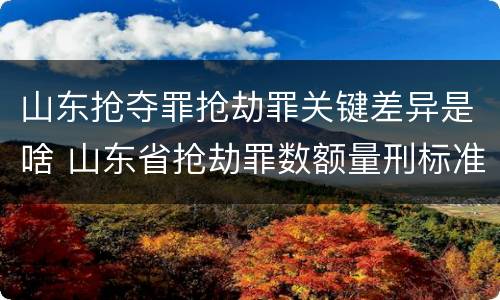 山东抢夺罪抢劫罪关键差异是啥 山东省抢劫罪数额量刑标准