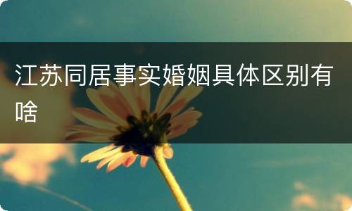 江苏同居事实婚姻具体区别有啥