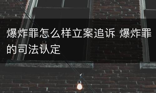 爆炸罪怎么样立案追诉 爆炸罪的司法认定