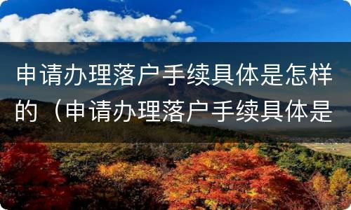 申请办理落户手续具体是怎样的（申请办理落户手续具体是怎样的过程）