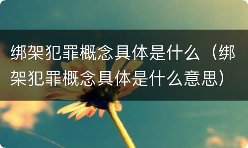 绑架犯罪概念具体是什么（绑架犯罪概念具体是什么意思）