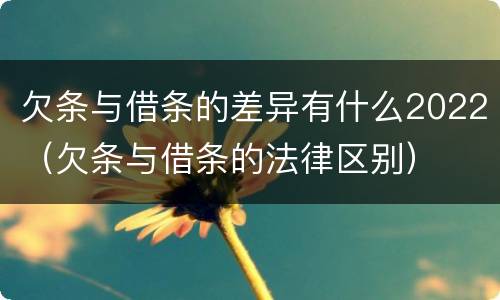 欠条与借条的差异有什么2022（欠条与借条的法律区别）