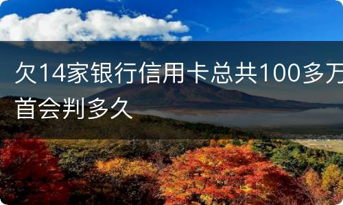 欠14家银行信用卡总共100多万首会判多久