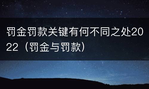 罚金罚款关键有何不同之处2022（罚金与罚款）