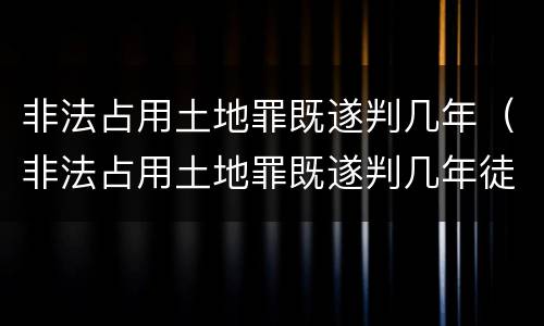 非法占用土地罪既遂判几年（非法占用土地罪既遂判几年徒刑）