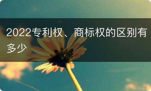 2022专利权、商标权的区别有多少