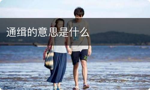 通缉的意思是什么