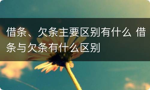 借条、欠条主要区别有什么 借条与欠条有什么区别