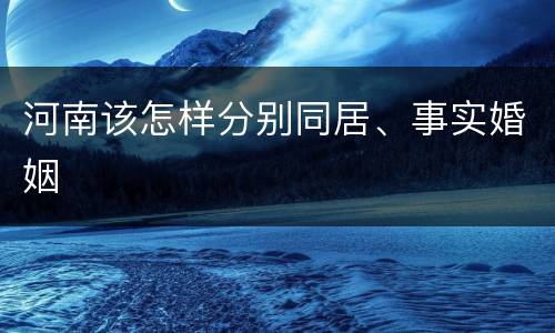 河南该怎样分别同居、事实婚姻