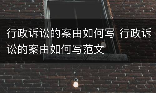 行政诉讼的案由如何写 行政诉讼的案由如何写范文