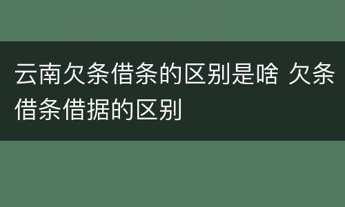 云南欠条借条的区别是啥 欠条借条借据的区别