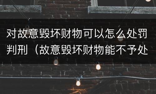 对故意毁坏财物可以怎么处罚判刑（故意毁坏财物能不予处罚吗）