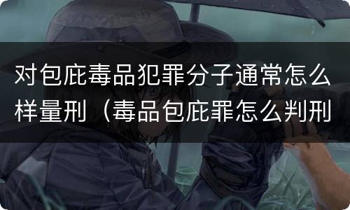对包庇毒品犯罪分子通常怎么样量刑（毒品包庇罪怎么判刑）