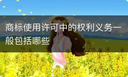 商标使用许可中的权利义务一般包括哪些