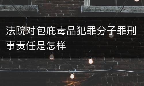 法院对包庇毒品犯罪分子罪刑事责任是怎样