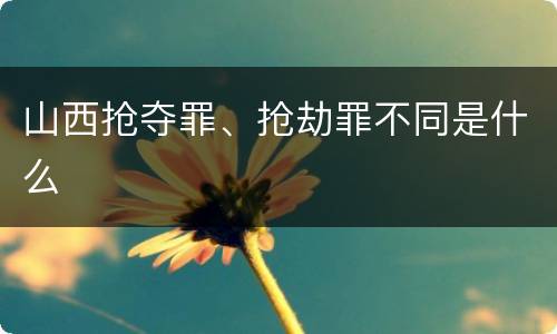 山西抢夺罪、抢劫罪不同是什么