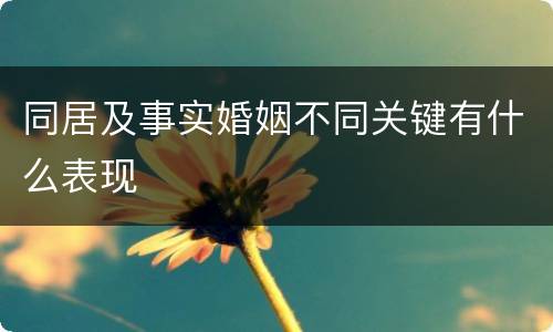 同居及事实婚姻不同关键有什么表现