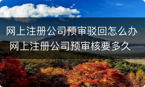 网上注册公司预审驳回怎么办 网上注册公司预审核要多久