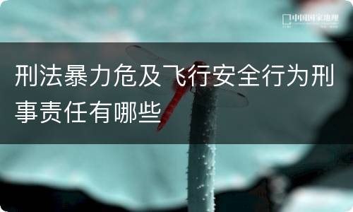 刑法暴力危及飞行安全行为刑事责任有哪些