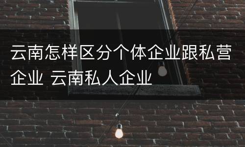 云南怎样区分个体企业跟私营企业 云南私人企业