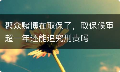 聚众赌博在取保了，取保候审超一年还能追究刑责吗
