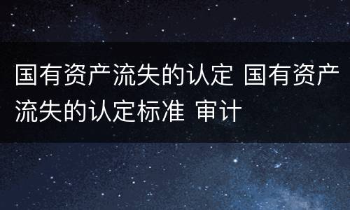 国有资产流失的认定 国有资产流失的认定标准 审计
